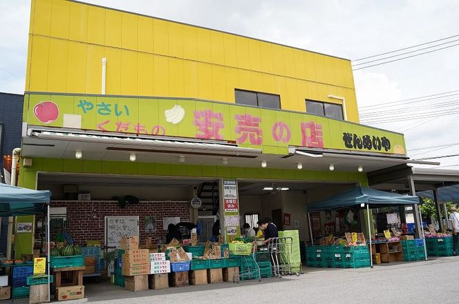 目利きのプロ 八百屋厳選 野菜詰め合わせセット（8～10種類お届け） H151-015