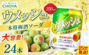 チョーヤ ウメッシュ 本格梅酒ソーダ缶 250ml×24本【igge0016】