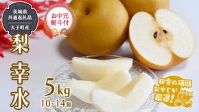 （ お中元 熨斗付 ）梨 幸水 5kg 10~14個 【2026年7月より発送開始】 （茨城県共通返礼品 [梨]：大子町産） 田舎の頑固おやじが厳選！  高糖度 ギフト 御中元 フルーツ 美味しい なし ナシ［BI298-NT］