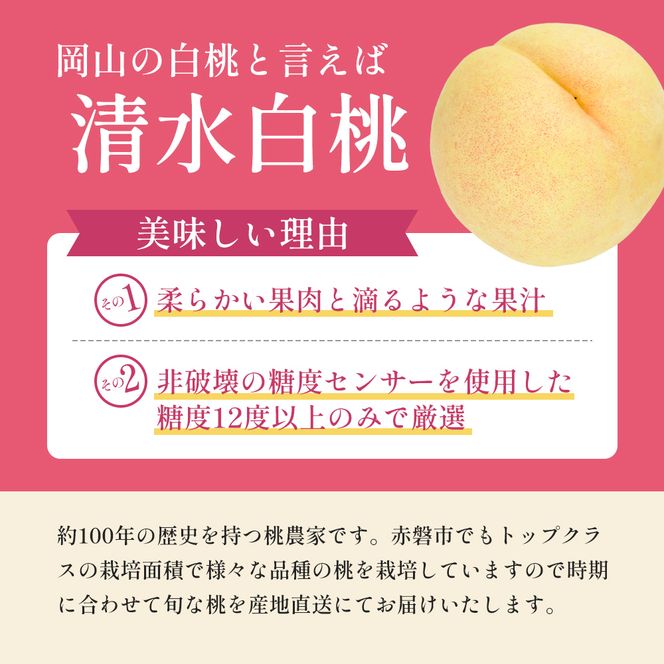 桃 2026年 先行予約 清水 白桃 をお届け！約1.5kg 5～7玉 糖度センサー選果 糖度12度以上 もも モモ 岡山県 赤磐市産 国産 フルーツ 果物 ギフト あみかフルーツ 果汁 産地直送 