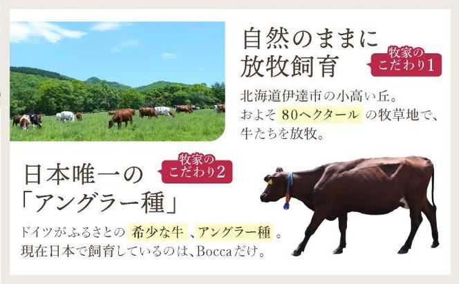 北海道 牧家 Bocca 白いプリン 4個入 3本 計12個 プリン カラメルソース カラメル もちもち 生乳 ミルク 卵不使用 風船プリン スイーツ デザート ギフト 送料無料