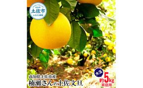 【先行予約】楠瀬さんの土佐文旦 家庭用大玉 約5kg 約5キロ 2L～4L〈2027年2月15日～2027年4月5日発送〉ぶんたん ブンタン フルーツ 柑橘 みかん 果物 くだもの 柑橘類 デザート おやつ さっぱり おいしい 甘い【まる庄果樹園】[BQAF011]
