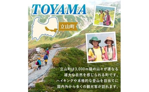 立山町 宿泊施設 宿泊券 75,000円分 宿泊チケット 宿泊 宿 山小屋 山荘 ホテル 旅 旅行 観光 レジャー チケット 登山 トレッキング アルペンルート 山岳観光 立山観光 F6T-1073