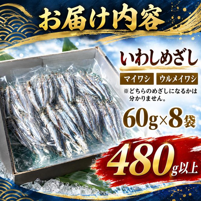 いわし　めざし　60g×8袋　マイワシ　ウルメイワシ | 鰯 真イワシ 魚 魚介 水産 網焼き 炭火焼 おつまみ 酒の肴 ご飯のお供 京都 宮津市 myz02 myz11 myz17
