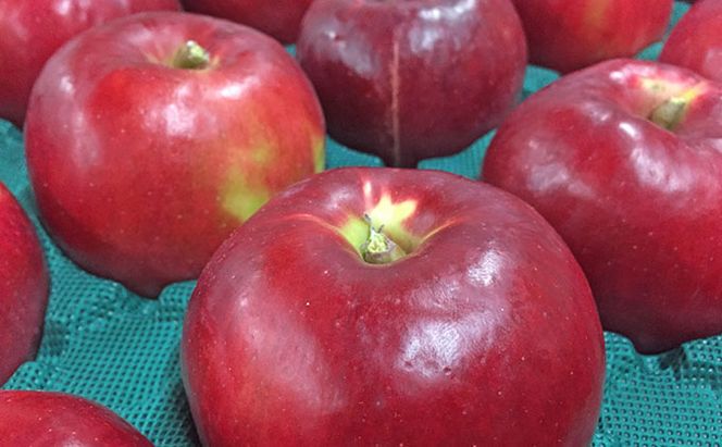 峠のふもと紅果園の完熟！リンゴジュース710ml×3本セット 飲料類 果汁飲料 りんご 林檎 ジュース [峠のふもと紅果園]