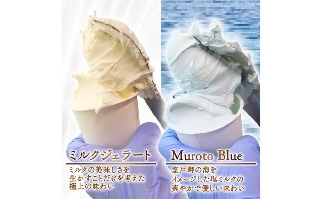 【大好評】 ジェラートセット ミルク 塩バニラ 20個 アイス アイスクリーム 詰め合わせ 家庭用 [rk047]!