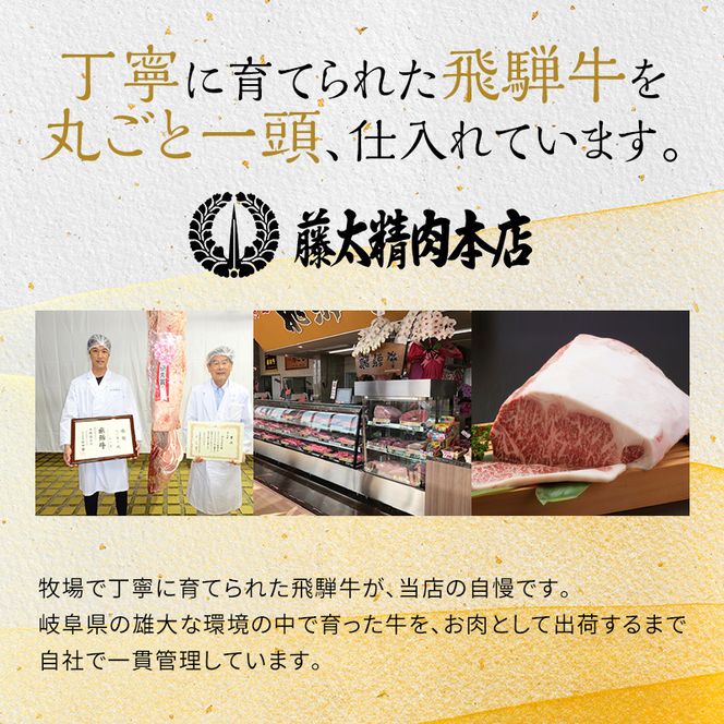 岐阜県海津市産 飛騨牛サーロインステーキ(250g×2枚) 牛肉 500g 