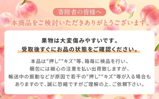 桃 2026年 先行予約 白桃 5玉 合計約1.3kg もも モモ 岡山県産 国産 フルーツ 果物 ギフト