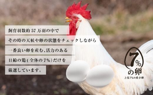 【定期便3ヶ月】匠の卵 20個(割れ玉補償２個）7％の卵　たまご　卵　玉子　鶏卵　生卵　プレミアム　優秀賞　愛知県　美浜町　国産　産直　卵黄　卵かけご飯