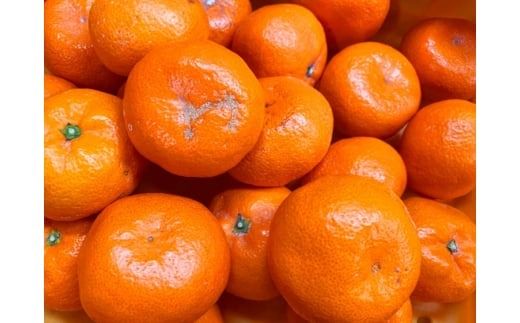 【ご家庭用訳アリ】初夏のみかん なつみ7.5kg　※2026年4月中旬頃〜2026年4月下旬頃に順次発送予定(お届け日指定不可)【uot733A】