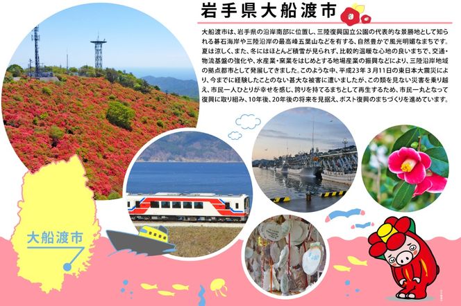 大船渡産 冷蔵 活ホヤ 5個 [下処理あり] 産地直送 朝どれ ほや 海鞘 海産物 海鮮 魚介 魚介類 珍味 大船渡 被災 災害 三陸 岩手県 国産