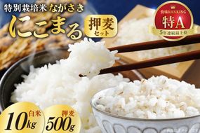 CA053 特別栽培米ながさきにこまる・押麦セット[ 白米 精米 ごはん ご飯 こめ おこめ もちもち おにぎり 粘り おいしい 長崎県産 長崎県産米 長崎にこまる 長崎県 島原市 ]