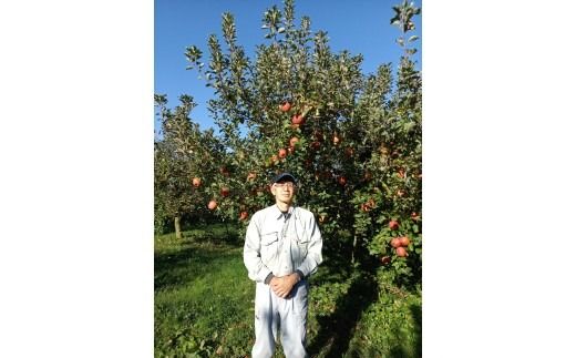 【射水のおいしい果実】【林檎】 よねだ農園の池多りんご サンふじ 5kg大玉（12～16個／箱） ※沖縄・離島への配送不可 ※2025年11月中旬～12月中旬頃に順次発送予定