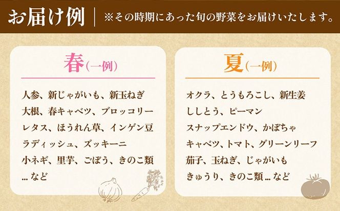 【6回定期便】2ヵ月に1回 旬の新鮮 野菜詰め合わせセット（10品～12品）/ 野菜 定期便 やさい 定期便 野菜セット やさいセット 春野菜 夏野菜 秋野菜 冬野菜 旬新鮮 / 南島原市 /長崎県農産品流通合同会社[SCB096]
