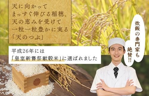 【令和8年産】【全3回定期便】米　 国見町産　天のつぶ 10kg（5kg×2袋）　 3回定期便 ※2026年10月～発送