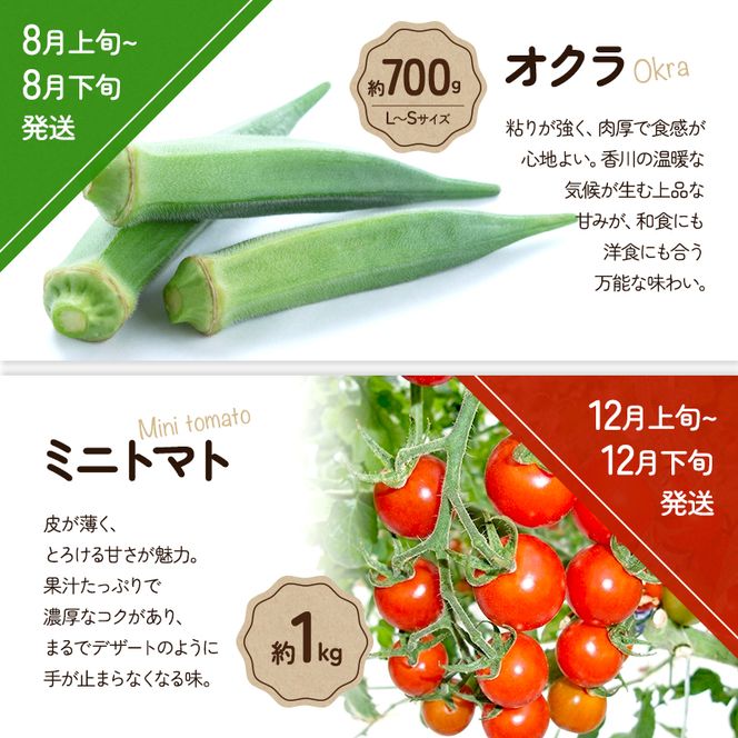 旬のさぬきの野菜定期便（6回）　野菜 定期便 旬 新鮮 食べごろ 季節 ブロッコリー アスパラ ホワイトコーン オクラ ミニトマト 香川県 東かがわ市