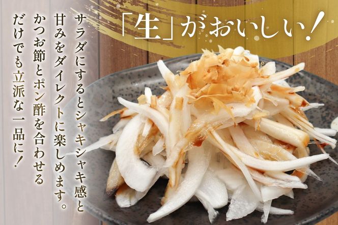 AJ113 【訳あり】 湧水の里 モリファーム 新玉ねぎ 3kg 不揃い (S～Lサイズ混合) [ 新たまねぎ 新たま 玉ねぎ たまねぎ タマネギ 生玉ねぎ サラダ おいしい ふぞろい 訳アリ 森農園 湧水の里 モリファーム 長崎県島原市 ]