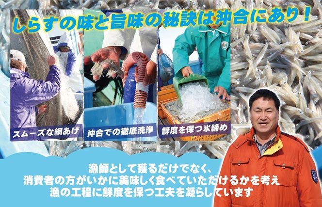 G2184t 【お中元対応】ちりめん山椒しらす 600g【小分け 150g×4P シラス しらす sirasu 海鮮 人気 おすすめ 産地直送】