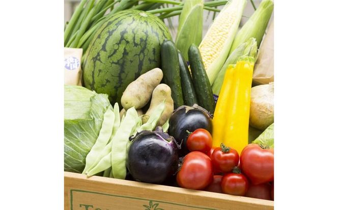 旬の野菜 5～8種詰め合わせと京都・京丹後産コシヒカリ2kgセット 国産 新鮮 お試し おまかせ お楽しみ　京野菜　朝採れ 季節の野菜 食品 お取り寄せ　お米 ごはん ご飯 こしひかり おにぎり 白米 ふるさと納税 米　TO00132