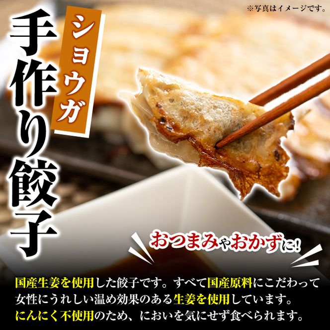 国産豚肉使用！手作りショウガ餃子(計100個・10個×10パック、たれ付き) 餃子 ぎょうざ ギョウザ ギョーザ しょうが 生姜 豚肉 おかず お惣菜【スーパーよしだ】akn058-07
