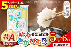【定期便6ヶ月】令和7年産 さがびより 精米 5kg×6回【特A受賞米 定期便 佐賀県産 人気 お米 コメ 増田米穀】(H015217)
