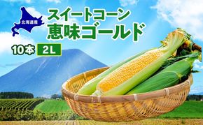  北海道産 スイート コーン めぐみゴールド 2Lサイズ 10本 先行受付 2026年8月上旬～下旬頃お届け とうもろこし 恵味 めぐみ トウモロコシ 旬 完熟 朝もぎ 野菜 産地直送 お取り寄せ 北海道 丸田農園 洞爺湖 