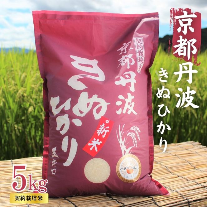 令和7年産 京都丹波産 きぬひかり 5kg 契約栽培米 白米 精米 お米 こめ コメ キヌヒカリ 令和7年 ご飯 ごはん 京都 京都府 南丹市