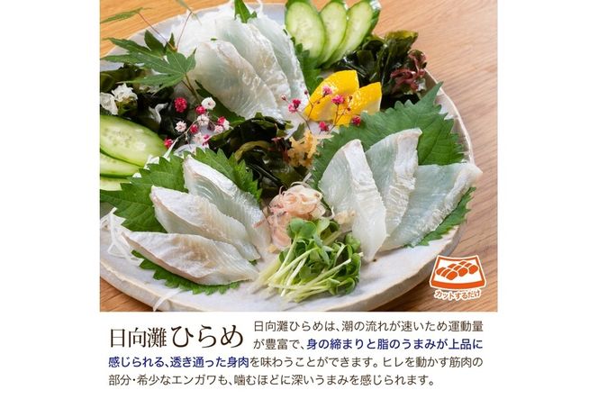 【北海道・離島配送不可】新鮮！ヒラメとしまあじのお刺身セット(合計約600～800g)お刺し身 魚介 海鮮 ひらめ ヒラメ シマアジ 詰め合わせ 詰合せ 真空パック【UZ-08】【請関水産】