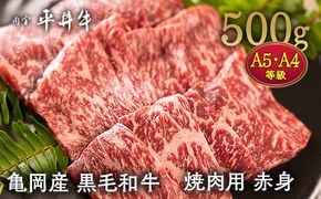 数々の誉れに輝く最高峰 黒毛和牛「平井牛」A5・A4 焼肉用 赤身 500g 京都 丹波牧場 自家産≪ウチヒラ・マル・イチボ・ランプ・ウチモモ・シンタマ 希少 和牛 京都肉 冷凍 真空 BBQ キャンプ≫