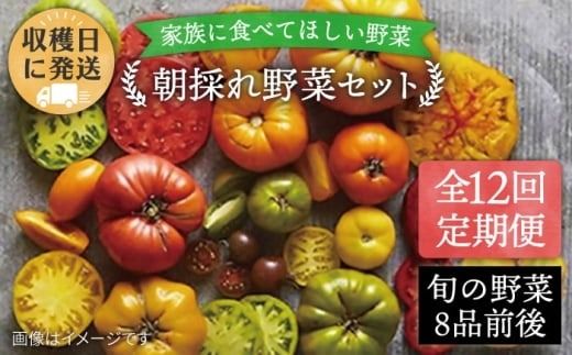 yszyS12ցzyYẑ  Zbg (8iO) styI[KjbNiK~ct@[z [AGE012]