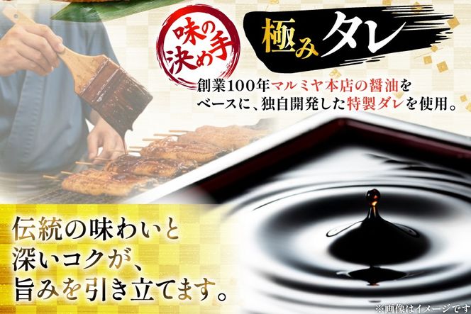 うなぎ 国産 【 丑の日 季節の定期便 】 日向極み うなぎ蒲焼 4尾 計480g [日向サンパーク 宮崎県 日向市 452061506] ギフト 小分け 真空パック 鰻 ウナギ うなぎの蒲焼 蒲焼 蒲焼き