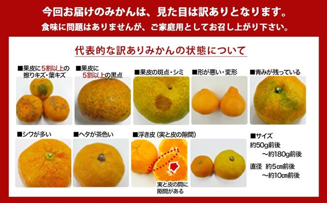 【訳あり/ご家庭用】和歌山県産みかん 約5㎏【サイズ混合】 サンファーム《10月上旬-1月下旬頃出荷》和歌山県 紀の川市---wsk_saf13_1j3m_26_11500_10kg---