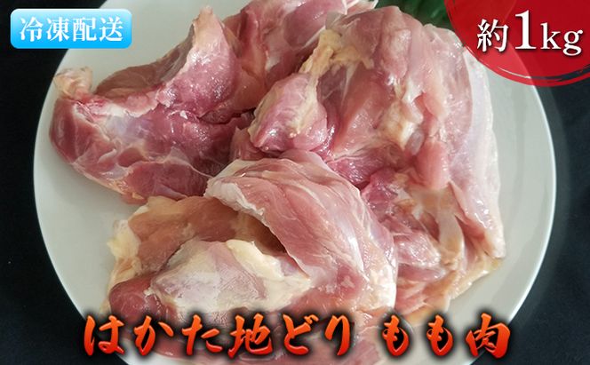 鶏肉 もも肉 約1kg はかた地どり お肉 国産 日本産 国産鶏肉 料理 調理 食材 食べ物 肉料理 夕飯 おかず チキン 鍋物 ソテー 揚げ物 炒め物 