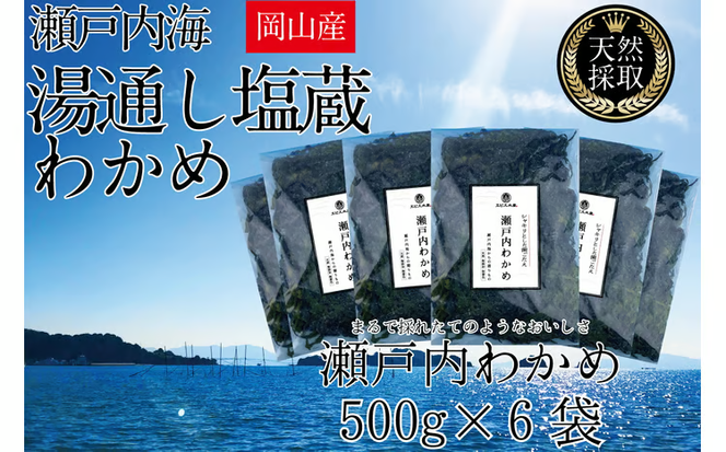 湯通し塩蔵 瀬戸内 わかめ 500g×6袋【岡山 瀬戸内海 天然 塩蔵】 [№5735-1284]