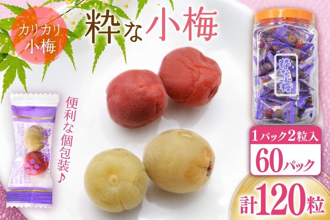 yRBszy΂zȏ~ 2×60 v120 [R_YHi R Bs 20743177] ~ ~ ߂ڂ ~  ~ JJ~ Y 