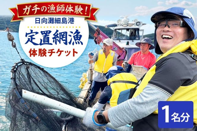 体験 日向灘細島港 定置網漁 体験チケット 1名分 [高田屋 宮崎県 日向市 452061157] 漁 定置網 漁師体験 九州 宮崎 日向