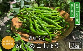 【飛騨・美濃伝統野菜】【数量限定】2026年予約販売 爽やかな辛味 青唐辛子 あじめこしょう 中津川産 3kg F4N-2569