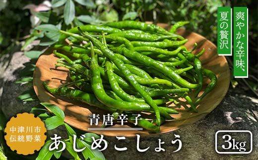 【飛騨・美濃伝統野菜】【数量限定】2026年予約販売 爽やかな辛味 青唐辛子 あじめこしょう 中津川産 3kg F4N-2569