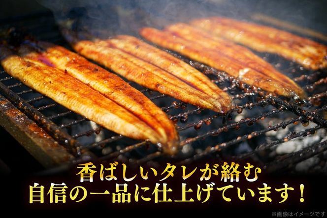 うなぎ 国産 定期便 鰻 蒲焼 特大 約200g 2尾 計400g以上 3回 総計約1.2kg 小分け 【有頭】[大黒物産 福岡県 宇美町 um40bak830018] タレ 山椒付 茶葉蒸し ウナギ 不揃い 規格外 鹿児島 宮崎 うなぎ蒲焼 鰻蒲焼き 蒲焼き かば焼き 真空パック 個包装 冷凍 unagi