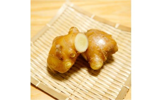 【CF-R7hbk】YTY004　生姜・生姜シロップ・生姜の佃煮 詰め合わせセット 生姜2ｋg 生姜シロップ×1本 生姜の佃煮×2個 ショウガ しょうが 佃煮 ジンジャー ジンジャーエール 生姜湯 料理 ごはんのお供 お取り寄せ