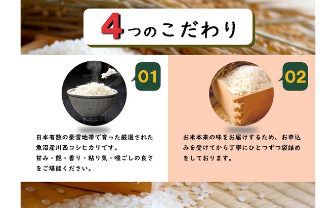 令和8年産　先行予約　【数量限定】定期便/全3回　 従来品種 魚沼産コシヒカリ 5kg 〈令和8年10月下旬～発送予定〉