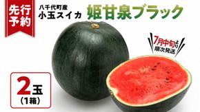 【先行予約 2026年7月中旬以降発送開始】 小玉スイカ 姫甘泉ブラック 1箱（2玉入り）八千代町産 黒皮 すいか スイカ 西瓜 小玉 果物 フルーツ お取り寄せ 産地直送 茨城県 [AV012ya]