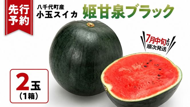 【先行予約 2026年7月中旬以降発送開始】 小玉スイカ 姫甘泉ブラック 1箱（2玉入り）八千代町産 黒皮 すいか スイカ 西瓜 小玉 果物 フルーツ お取り寄せ 産地直送 茨城県 [AV012ya]