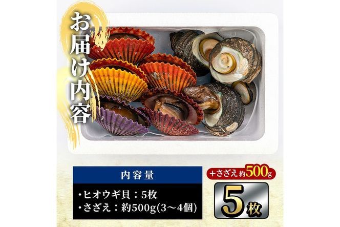 ヒオウギ貝(5枚)とサザエ(約500g) 魚介 貝 ヒオウギ貝 ひおうぎ貝 サザエ さざえ 栄螺 酒蒸し 網焼き バター焼き バーベキュー 獲れたて 冷蔵 海の直売所 大分県 佐伯市【AS121】【海べ (株)】