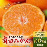 ＼光センサー選別／こだわりの完熟有田みかん 6kg＋150g(傷み補償分) 【ご家庭用】サイズ混合 ｜ふるさと納税 みかん 有機質肥料100%◇