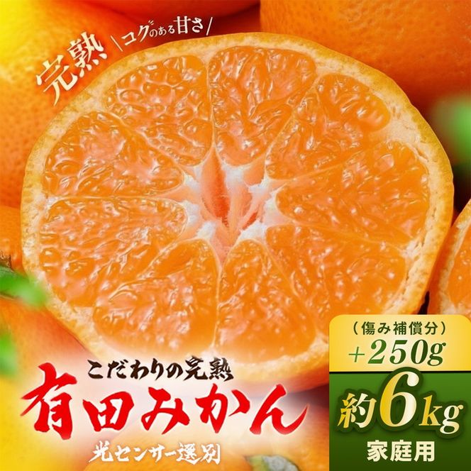 ＼光センサー選別／こだわりの完熟有田みかん 6kg＋150g(傷み補償分) 【ご家庭用】サイズ混合 ｜ふるさと納税 みかん 有機質肥料100%◇