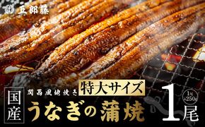 099H5079 老舗【五郎藤】 関西風地焼き 国産有頭旨鰻 250g×1尾 特大 うなぎ ウナギ 蒲焼き 炭火