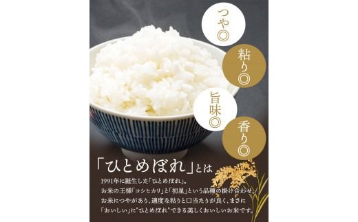 【選べる 白米・玄米・無洗米】【6か月定期便】令和6年産 平泉町産 ひとめぼれ 10kg 〈食味ランキング「特A」13年連続受賞〉/ こめ コメ 米 お米 おこめ 白米 ご飯 ごはん ライス 定期便 米定期便