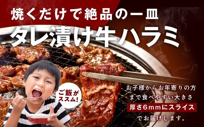 099Z445 【定期便】牛タン＆牛ハラミ お試し 1kg 焼肉セット【成型牛たん ハラミ 味付き 牛肉 やきにく BBQ 薄切り スライス 訳あり サイズ不揃い 2026年3月＆6月発送 全2回】