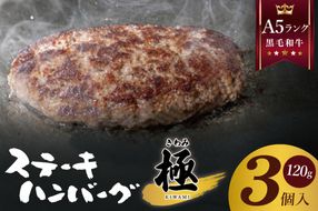 黒毛和牛　A5ランク　ステーキハンバーグ 極 120ｇ×3食入【埼玉県　春日部　国産　惣菜 冷凍　湯煎　レンジ調理　レンチン】（DH002）